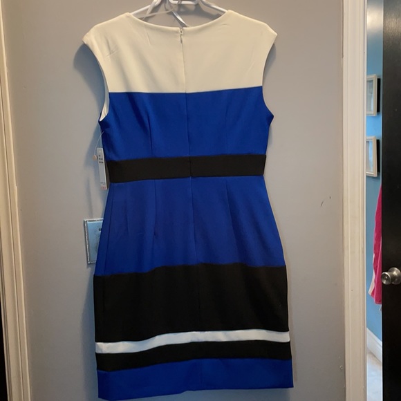 Sleeveless tailored Colour Block Dress - Picture 5 of 5
